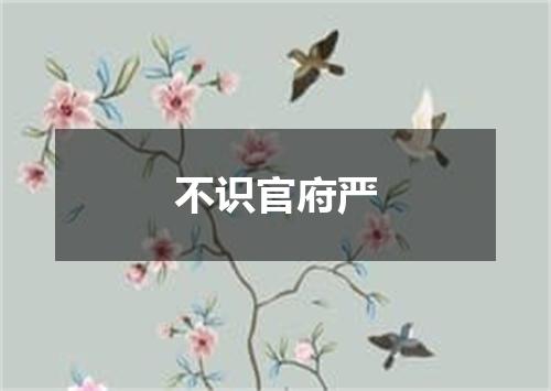 不识官府严