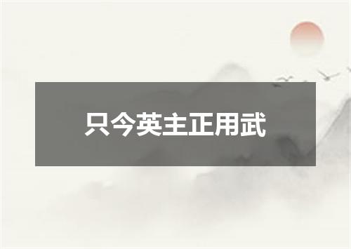只今英主正用武