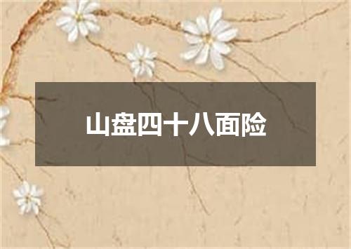 山盘四十八面险