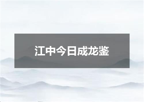 江中今日成龙鉴