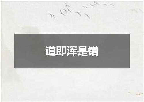 道即浑是错