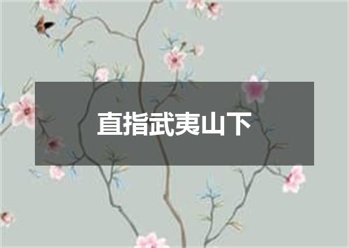 直指武夷山下