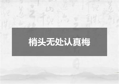 梢头无处认真梅