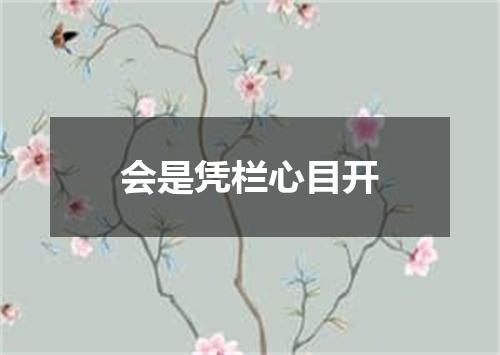 会是凭栏心目开