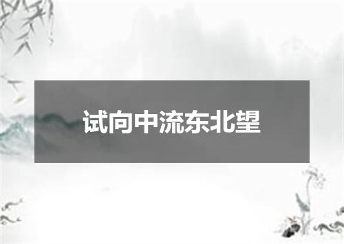试向中流东北望