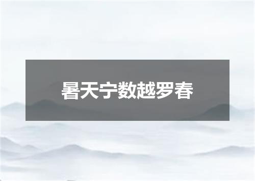 暑天宁数越罗春