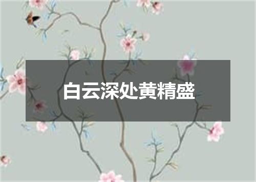 白云深处黄精盛