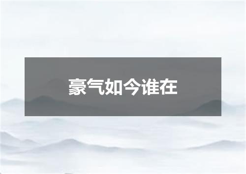 豪气如今谁在