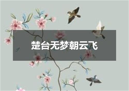 楚台无梦朝云飞