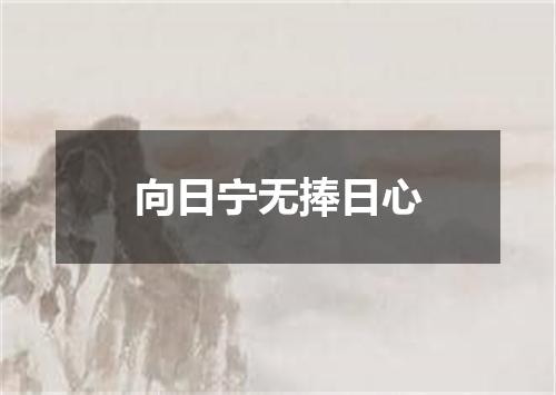 向日宁无捧日心
