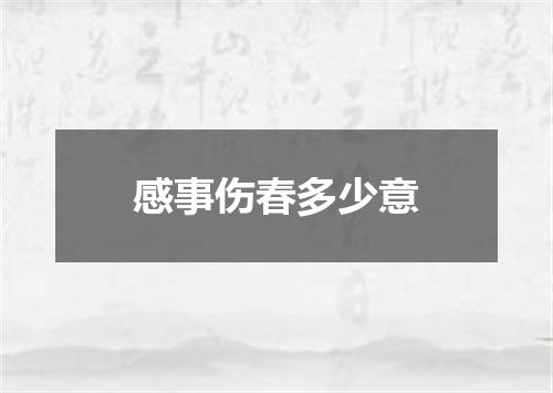 感事伤春多少意