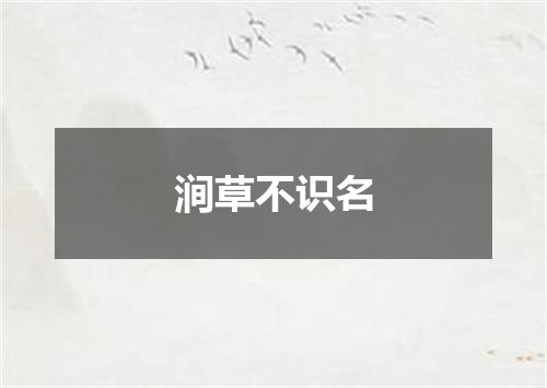 涧草不识名