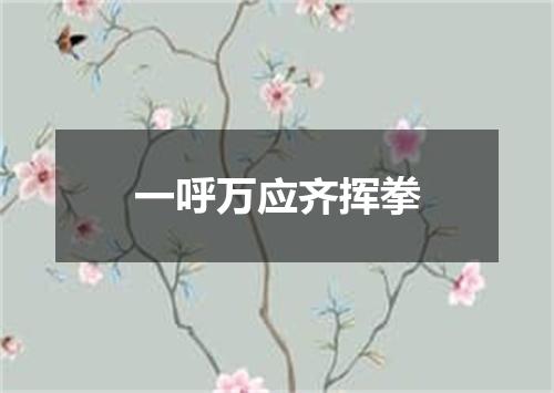 一呼万应齐挥拳