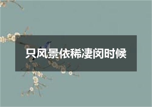 只风景依稀凄闵时候