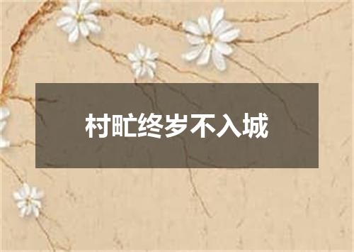 村甿终岁不入城