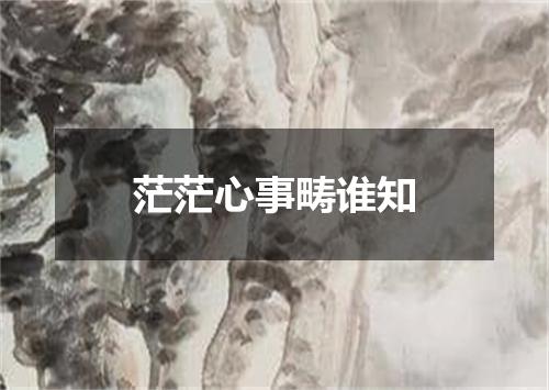 茫茫心事畴谁知