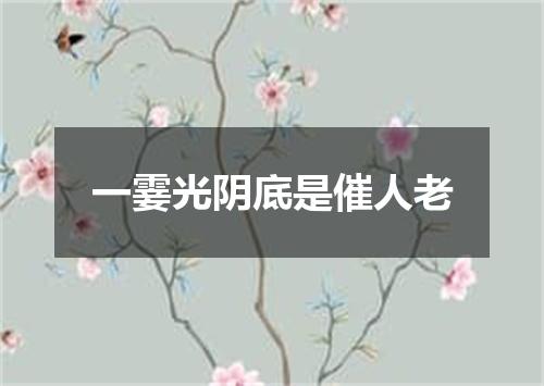 一霎光阴底是催人老