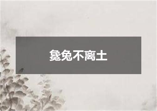 毚兔不离土