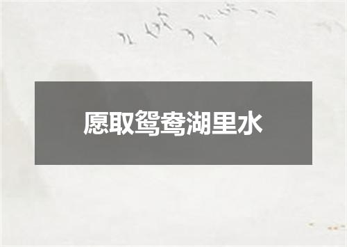 愿取鸳鸯湖里水