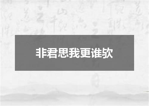 非君思我更谁欤