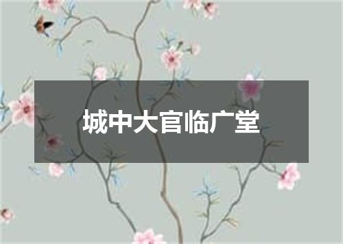 城中大官临广堂