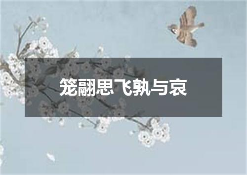 笼翮思飞孰与哀
