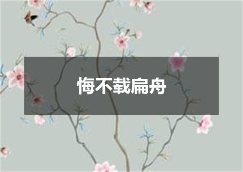 悔不载扁舟