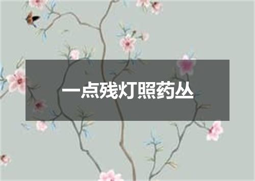 一点残灯照药丛