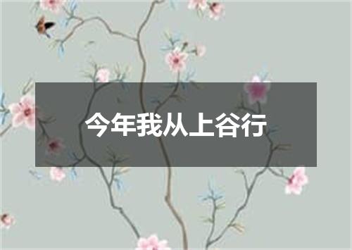 今年我从上谷行