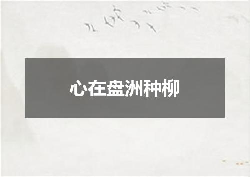 心在盘洲种柳