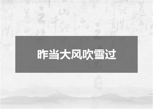 昨当大风吹雪过