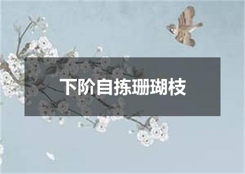 下阶自拣珊瑚枝