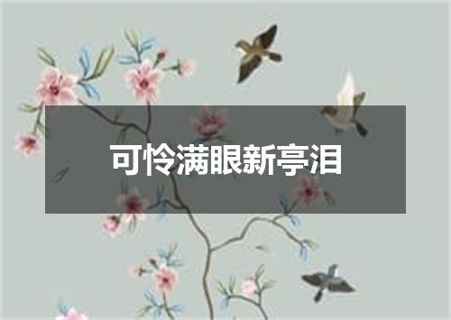 可怜满眼新亭泪