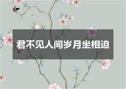 君不见人间岁月坐相迫