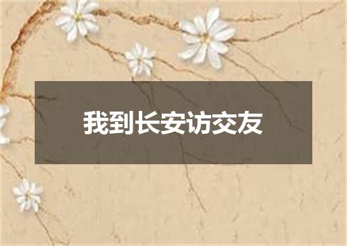 我到长安访交友