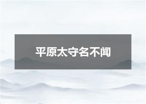 平原太守名不闻