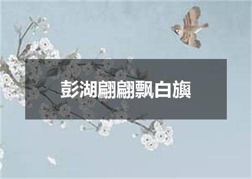 彭湖翩翩飘白旟