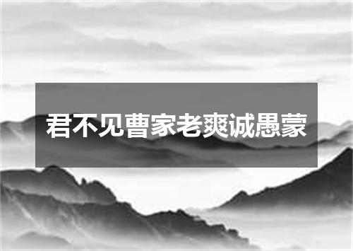 君不见曹家老爽诚愚蒙