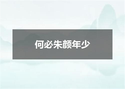 何必朱颜年少