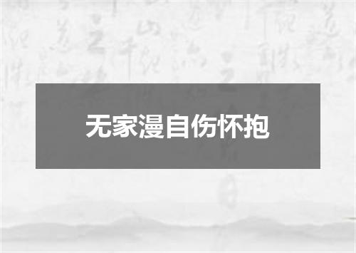 无家漫自伤怀抱