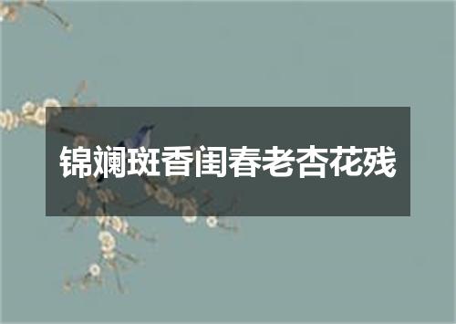锦斓斑香闺春老杏花残
