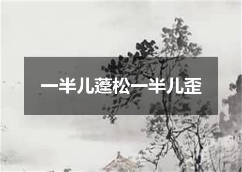 一半儿蓬松一半儿歪