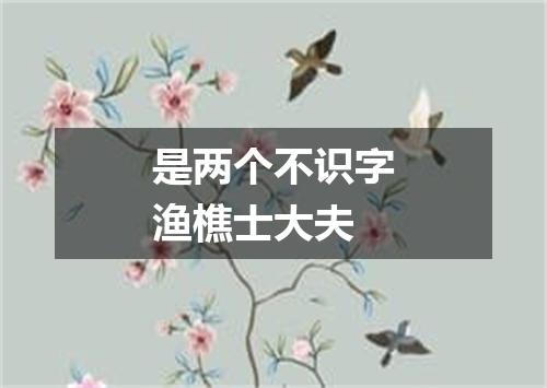 是两个不识字渔樵士大夫