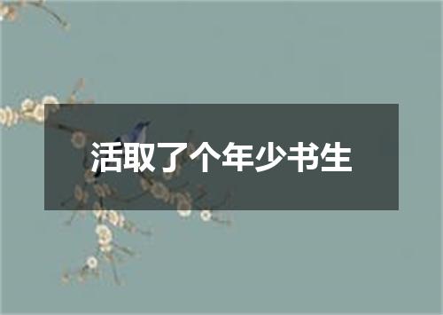活取了个年少书生