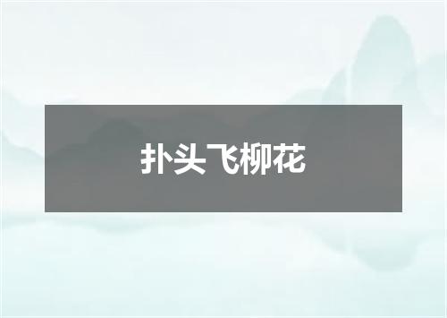 扑头飞柳花