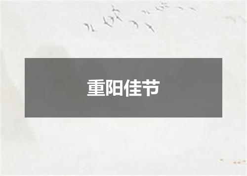重阳佳节