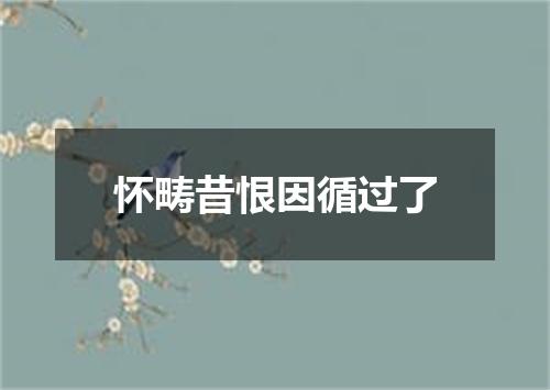 怀畴昔恨因循过了
