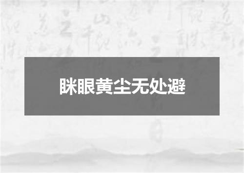 眯眼黄尘无处避