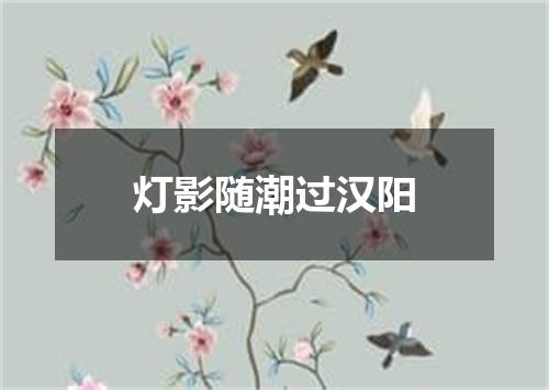 灯影随潮过汉阳