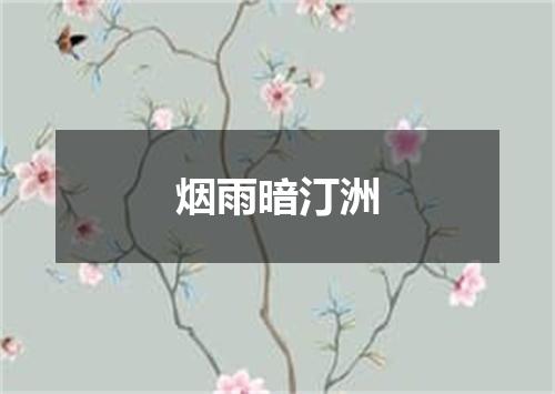 烟雨暗汀洲